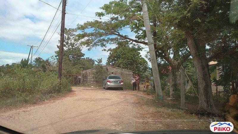 Pictures of Residential Lot for sale in Cebu City