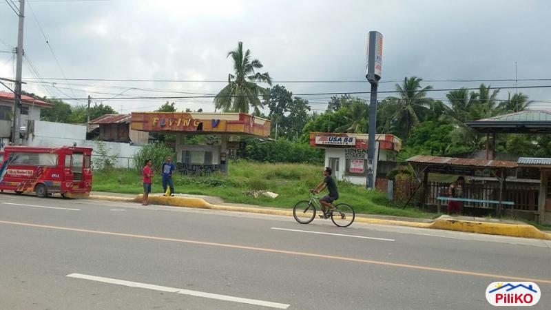 Picture of Commercial Lot for sale in Cebu City