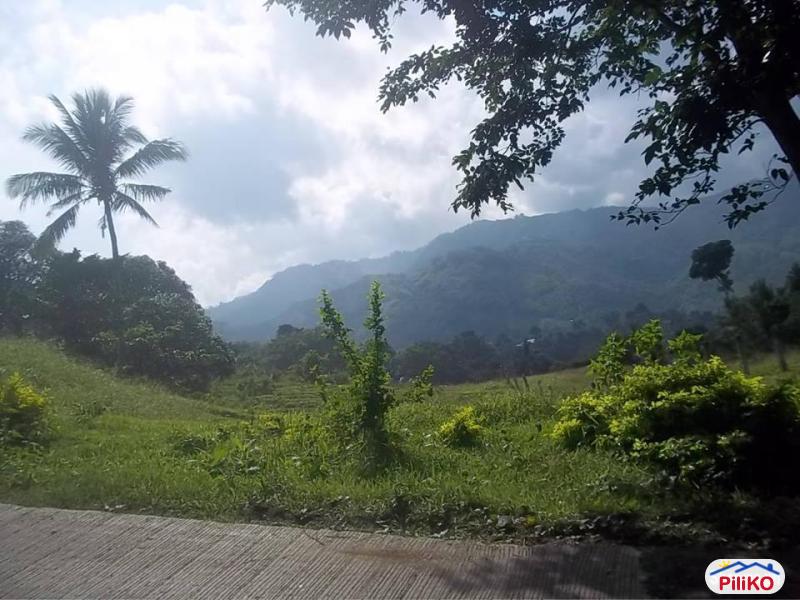 Picture of Residential Lot for sale in Cebu City