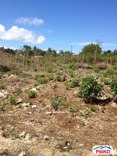 Pictures of Residential Lot for sale in Cebu City