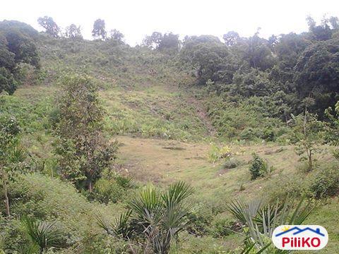 Pictures of Residential Lot for sale in Cebu City