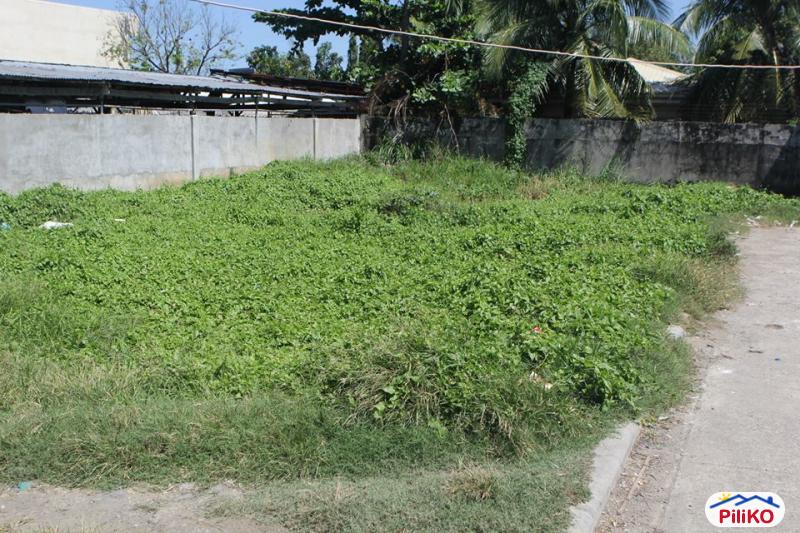 Residential Lot for sale in Cebu City - image 2