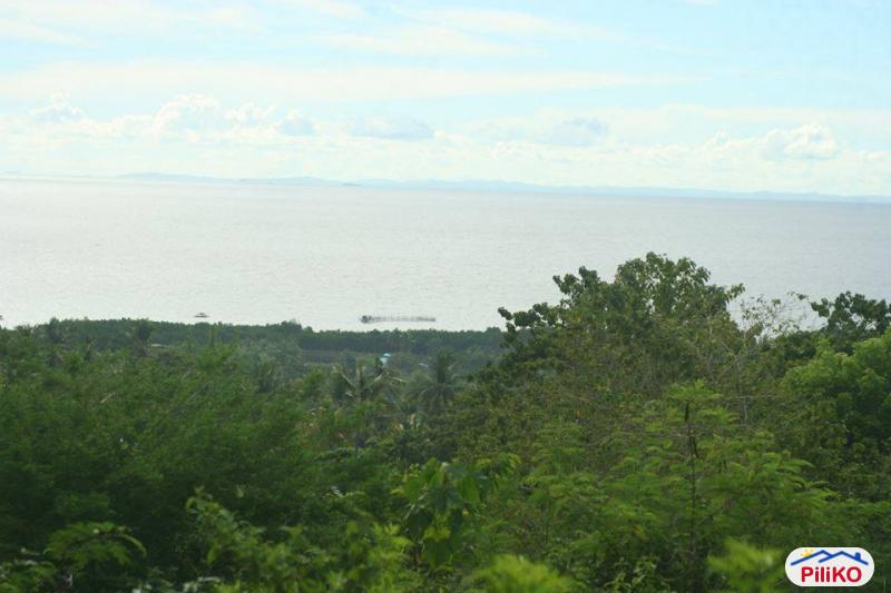 Residential Lot for sale in Cebu City