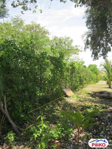 Residential Lot for sale in Cebu City - image 2