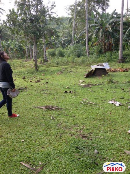 Residential Lot for sale in Cebu City