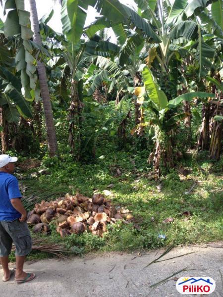 Residential Lot for sale in Cebu City - image 2