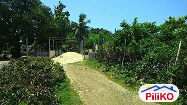 Residential Lot for sale in Cebu City