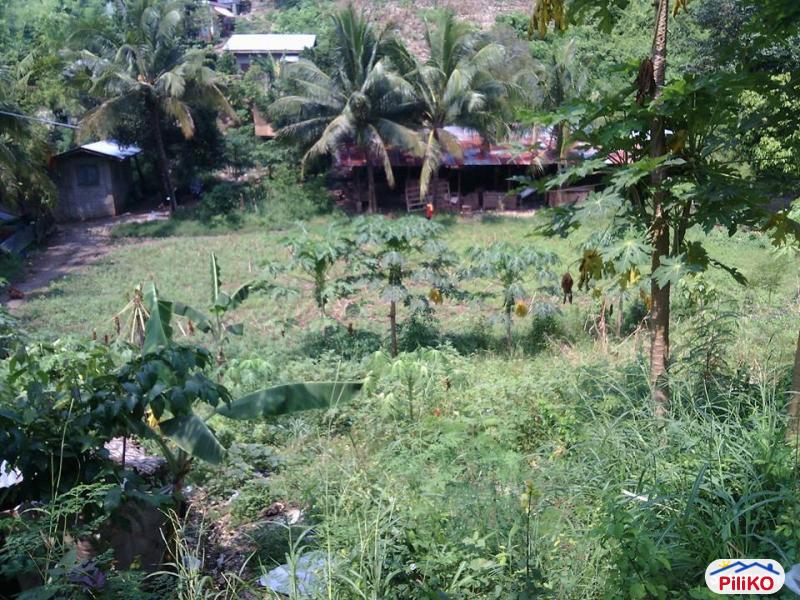Residential Lot for sale in Cebu City - image 2