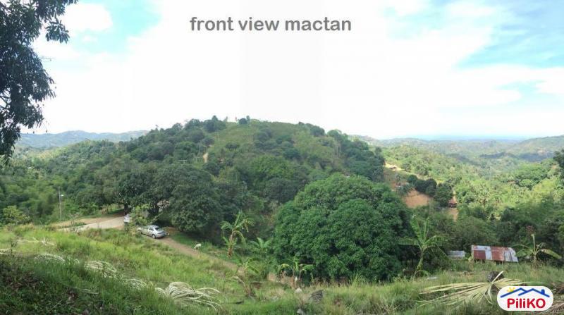 Agricultural Lot for sale in Cebu City
