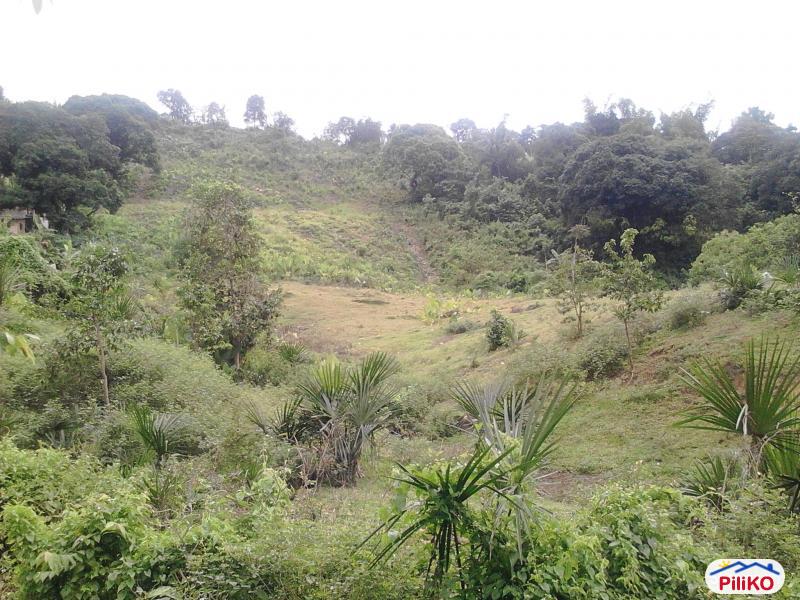 Residential Lot for sale in Cebu City - image 2
