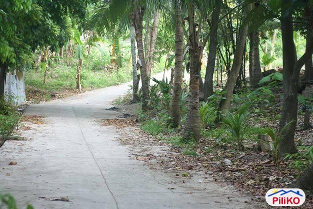 Residential Lot for sale in Cebu City in Cebu