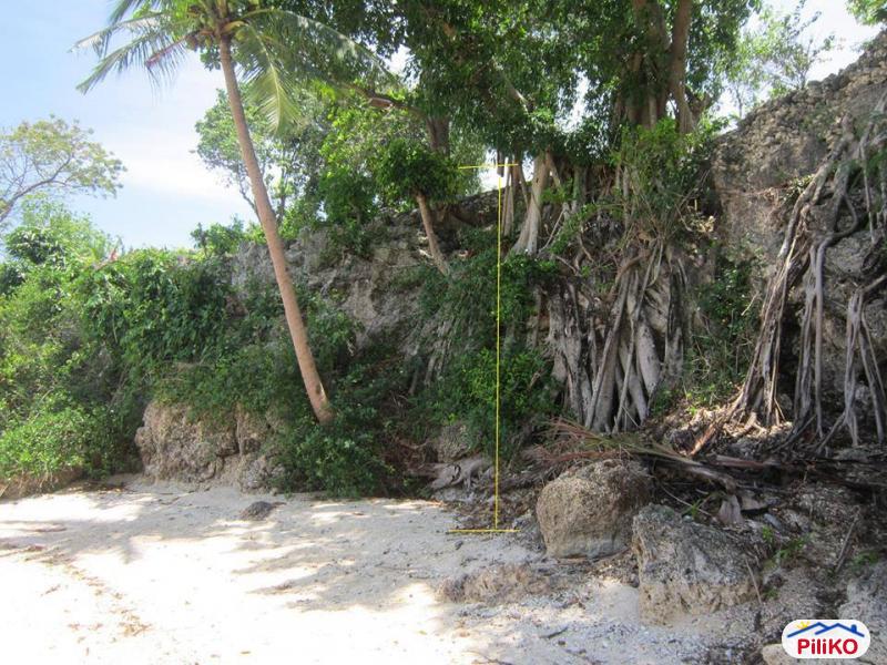 Residential Lot for sale in Cebu City - image 3