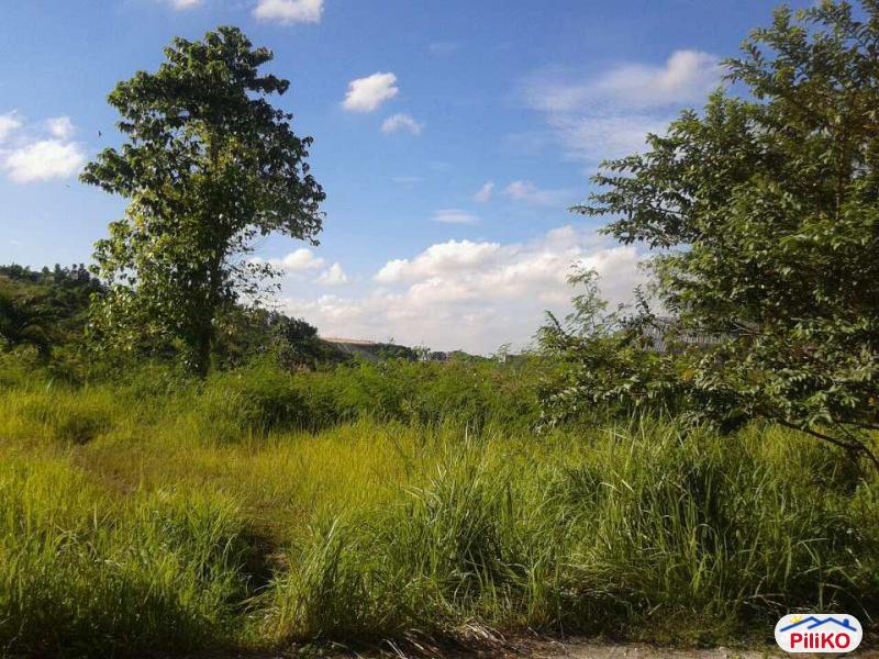 Residential Lot for sale in Cebu City in Cebu