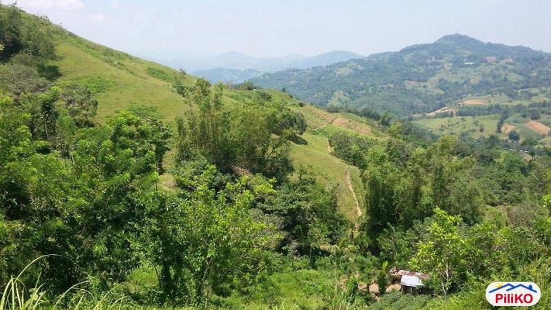 Agricultural Lot for sale in Cebu City - image 3