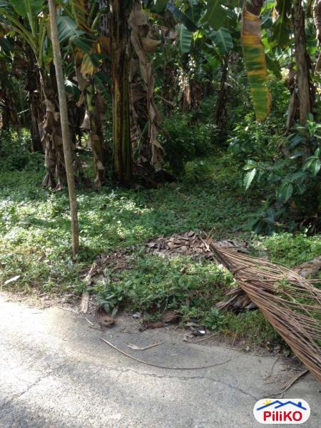 Residential Lot for sale in Cebu City in Cebu