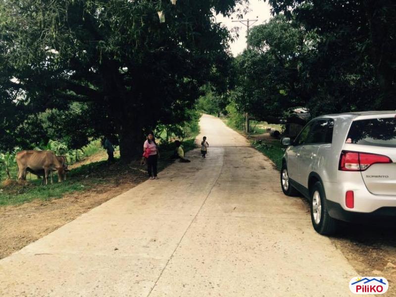 Agricultural Lot for sale in Cebu City in Cebu