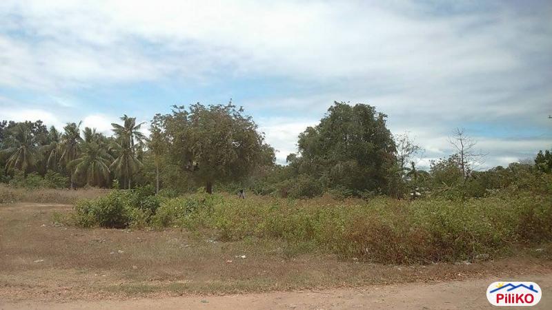 Residential Lot for sale in Cebu City - image 3