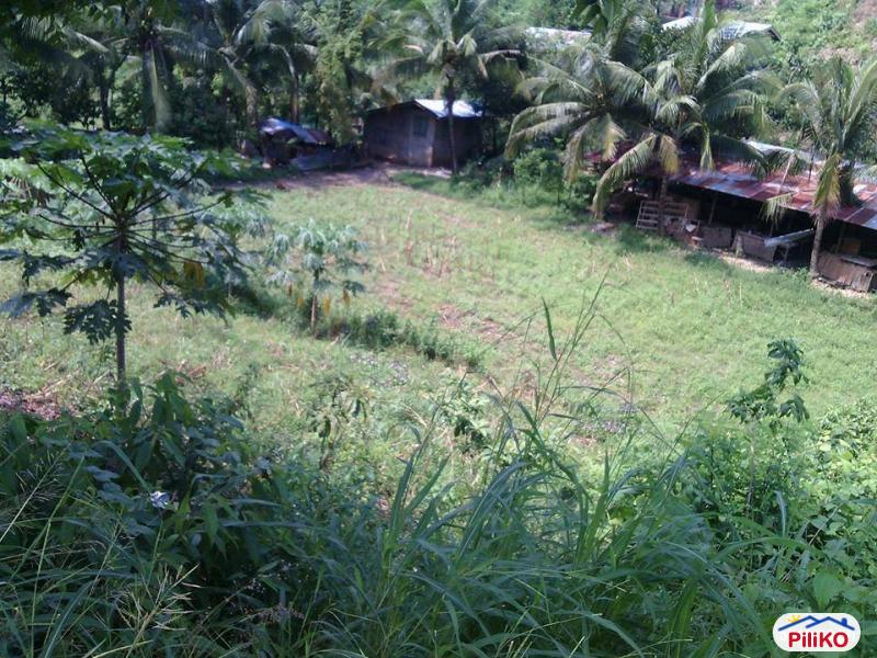 Residential Lot for sale in Cebu City - image 3