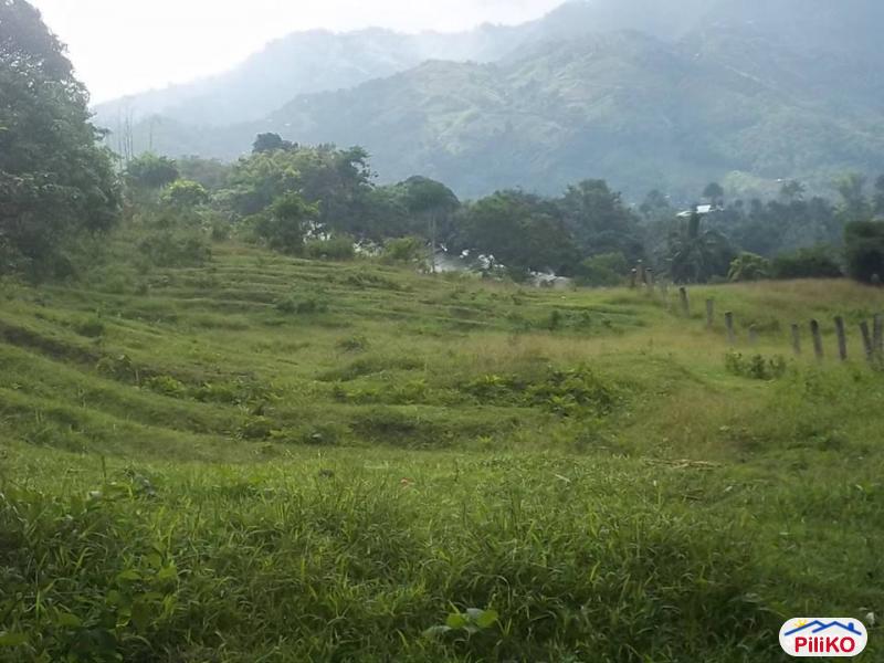 Residential Lot for sale in Cebu City in Cebu