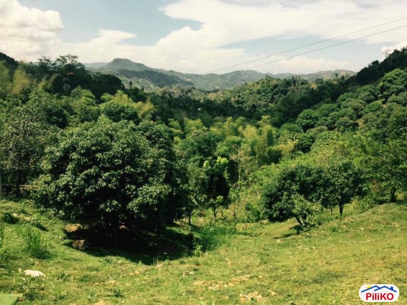 Agricultural Lot for sale in Cebu City in Cebu