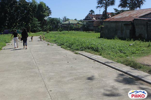 Residential Lot for sale in Cebu City - image 4