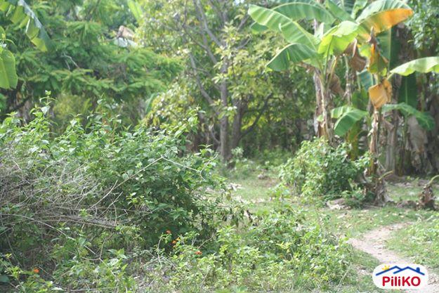 Residential Lot for sale in Cebu City in Philippines