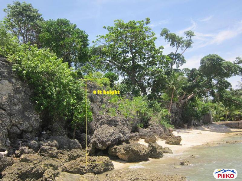 Residential Lot for sale in Cebu City - image 4