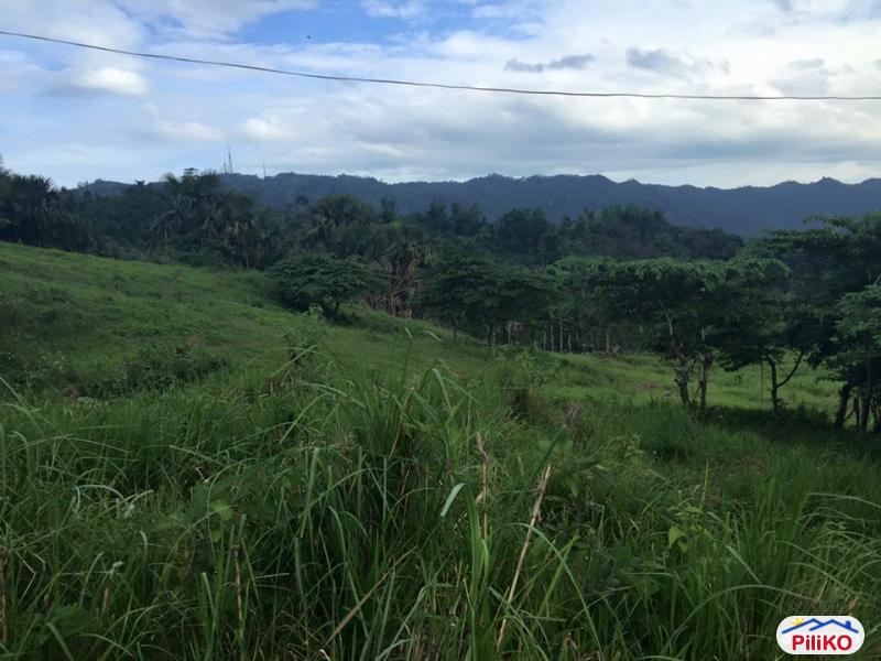 Agricultural Lot for sale in Cebu City - image 4
