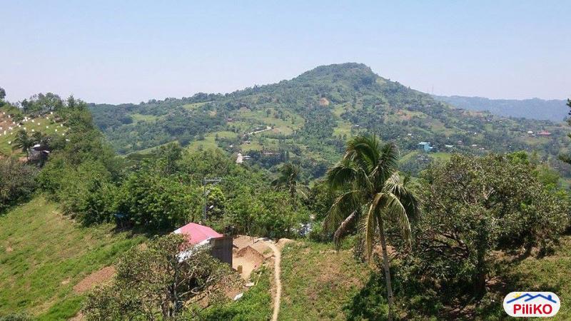 Agricultural Lot for sale in Cebu City in Philippines