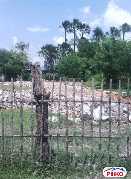 Commercial Lot for sale in Cebu City - image 4