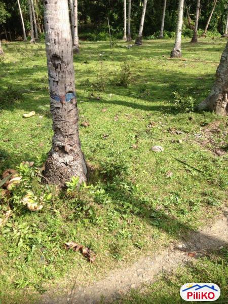 Residential Lot for sale in Cebu City - image 4