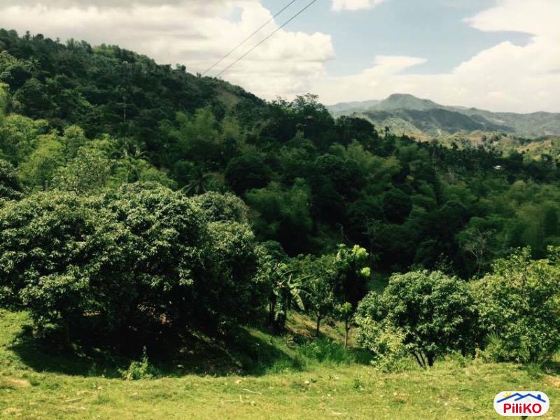 Agricultural Lot for sale in Cebu City in Philippines