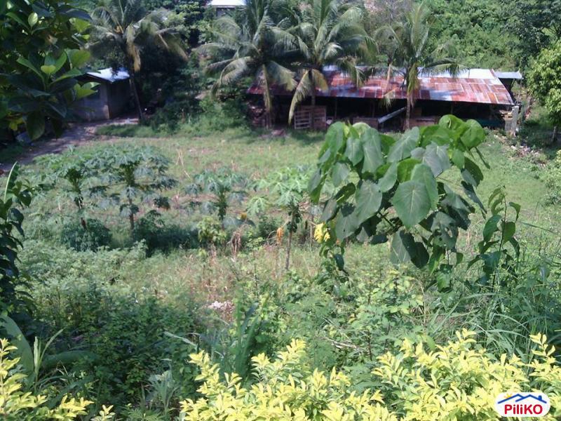 Residential Lot for sale in Cebu City - image 4