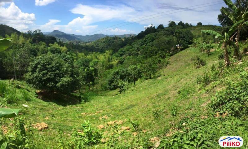 Agricultural Lot for sale in Cebu City in Philippines