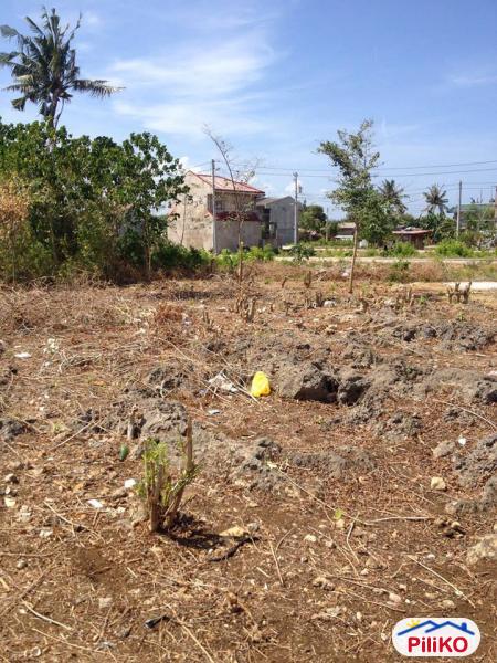 Residential Lot for sale in Cebu City - image 4