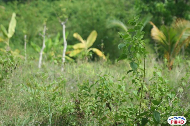 Picture of Residential Lot for sale in Cebu City in Cebu