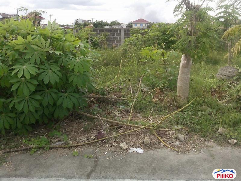 Residential Lot for sale in Cebu City - image 5