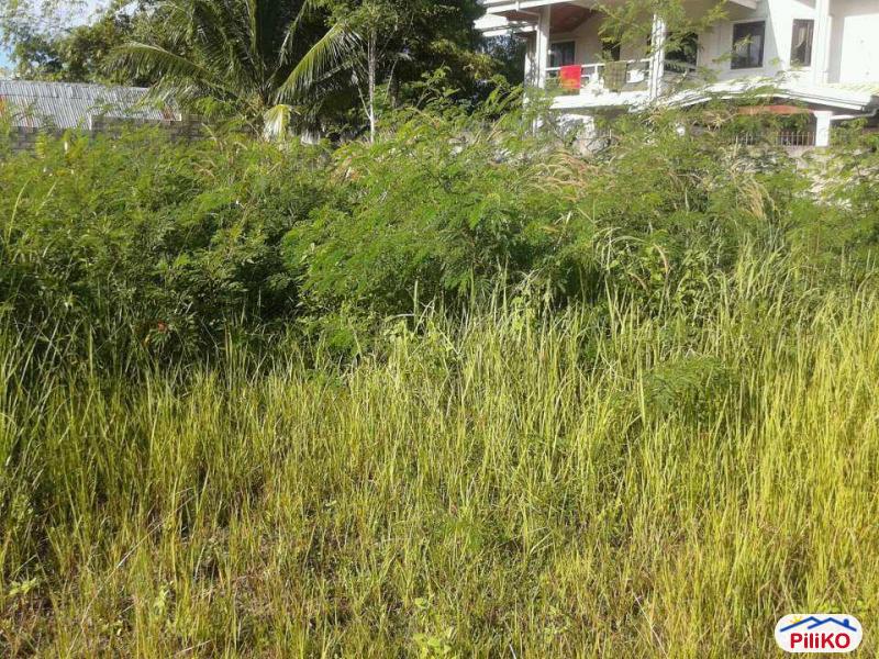 Picture of Residential Lot for sale in Cebu City in Cebu