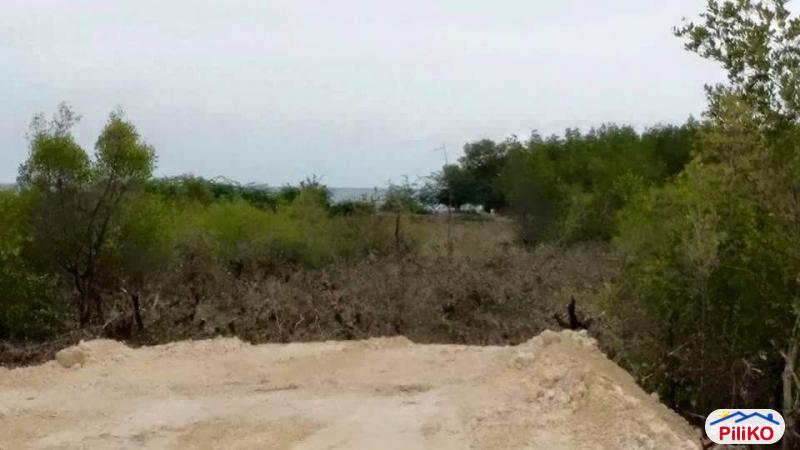 Residential Lot for sale in Cebu City - image 5