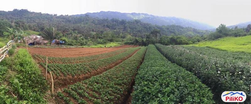 Agricultural Lot for sale in Cebu City - image 5