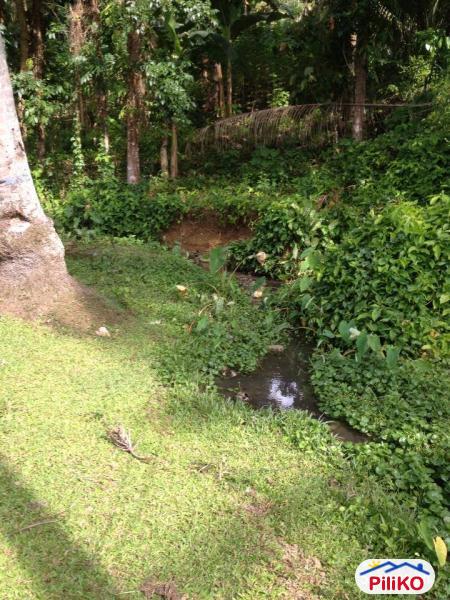 Picture of Residential Lot for sale in Cebu City in Cebu