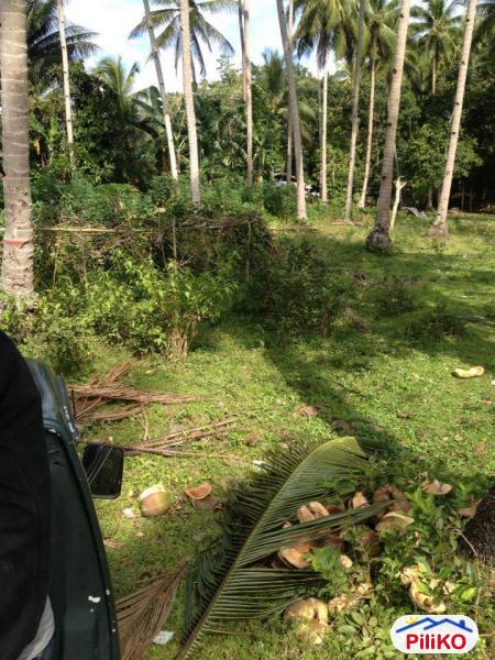 Residential Lot for sale in Cebu City - image 5