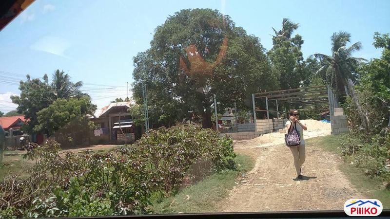 Picture of Residential Lot for sale in Cebu City in Cebu