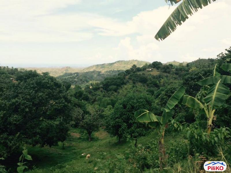 Picture of Agricultural Lot for sale in Cebu City in Cebu