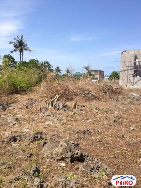 Residential Lot for sale in Cebu City - image 5