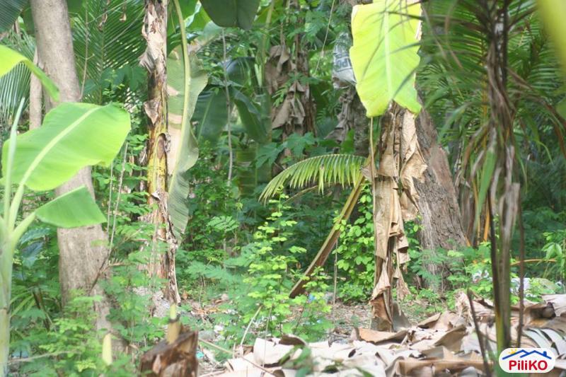 Picture of Residential Lot for sale in Cebu City in Philippines