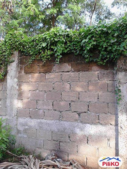 Picture of Residential Lot for sale in Cebu City in Philippines