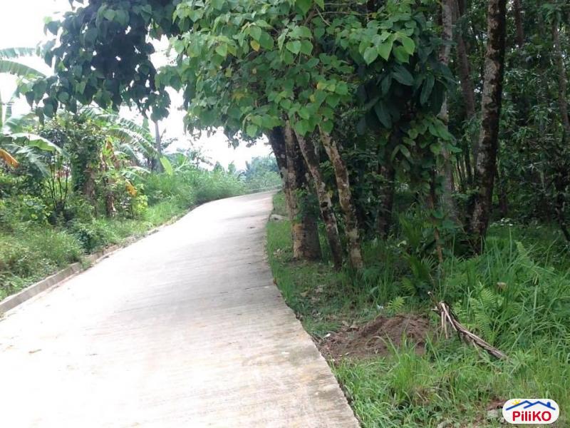 Picture of Agricultural Lot for sale in Cebu City in Philippines