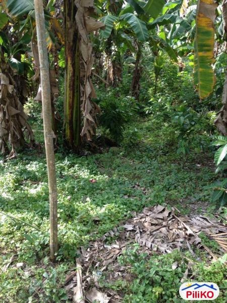 Picture of Residential Lot for sale in Cebu City in Philippines