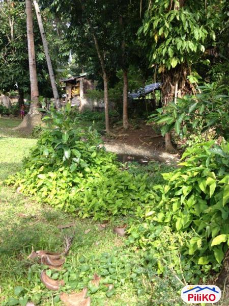 Picture of Residential Lot for sale in Cebu City in Philippines